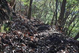 ��ʂ��N���b�N����Ƒ傫�ȉ摜�ŕ\������܂�