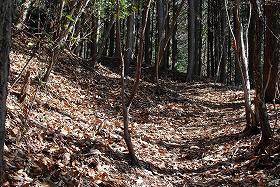 ��ʂ��N���b�N����Ƒ傫�ȉ摜�ŕ\������܂�