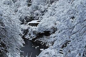 ��ʂ��N���b�N����Ƒ傫�ȉ摜�ŕ\������܂�