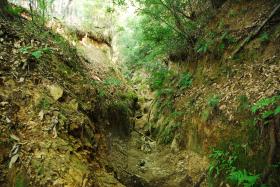 ��ʂ��N���b�N����Ƒ傫�ȉ摜�ŕ\������܂�