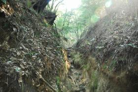 ��ʂ��N���b�N����Ƒ傫�ȉ摜�ŕ\������܂�