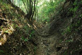 ��ʂ��N���b�N����Ƒ傫�ȉ摜�ŕ\������܂�