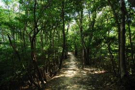 ��ʂ��N���b�N����Ƒ傫�ȉ摜�ŕ\������܂�