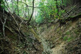 ��ʂ��N���b�N����Ƒ傫�ȉ摜�ŕ\������܂�