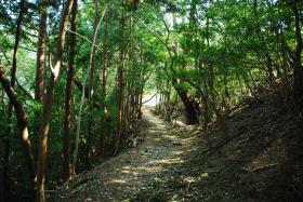 ��ʂ��N���b�N����Ƒ傫�ȉ摜�ŕ\������܂�