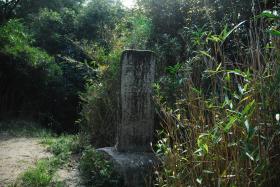 ��ʂ��N���b�N����Ƒ傫�ȉ摜�ŕ\������܂�