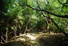 ��ʂ��N���b�N����Ƒ傫�ȉ摜�ŕ\������܂�