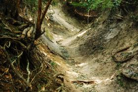 ��ʂ��N���b�N����Ƒ傫�ȉ摜�ŕ\������܂�