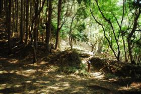 ��ʂ��N���b�N����Ƒ傫�ȉ摜�ŕ\������܂�