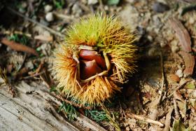 ��ʂ��N���b�N����Ƒ傫�ȉ摜�ŕ\������܂�