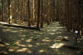 ��ʂ��N���b�N����Ƒ傫�ȉ摜�ŕ\������܂�