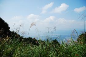 ��ʂ��N���b�N����Ƒ傫�ȉ摜�ŕ\������܂�