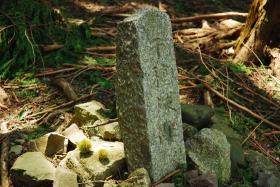 ��ʂ��N���b�N����Ƒ傫�ȉ摜�ŕ\������܂�