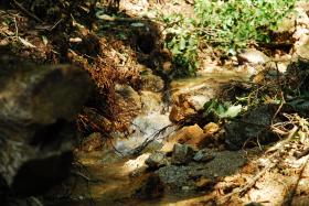 ��ʂ��N���b�N����Ƒ傫�ȉ摜�ŕ\������܂�