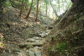 ��ʂ��N���b�N����Ƒ傫�ȉ摜�ŕ\������܂�