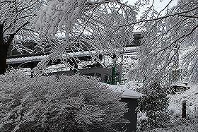 ��ʂ��N���b�N����Ƒ傫�ȉ摜�ŕ\������܂�