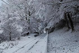 ��ʂ��N���b�N����Ƒ傫�ȉ摜�ŕ\������܂�