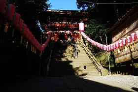 ��ʂ��N���b�N����Ƒ傫�ȉ摜�ŕ\������܂�