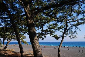 ��ʂ��N���b�N����Ƒ傫�ȉ摜�ŕ\������܂�