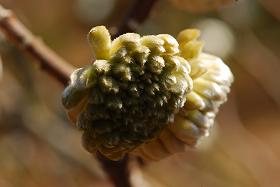 ��ʂ��N���b�N����Ƒ傫�ȉ摜�ŕ\������܂�