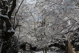 ��ʂ��N���b�N����Ƒ傫�ȉ摜�ŕ\������܂�