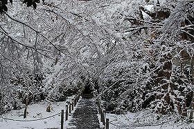 ��ʂ��N���b�N����Ƒ傫�ȉ摜�ŕ\������܂�