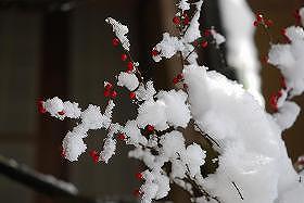 ��ʂ��N���b�N����Ƒ傫�ȉ摜�ŕ\������܂�