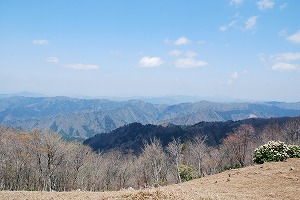 ��ʂ��N���b�N����Ƒ傫�ȉ摜�ŕ\������܂�