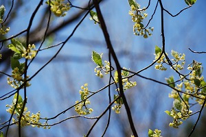 ��ʂ��N���b�N����Ƒ傫�ȉ摜�ŕ\������܂�