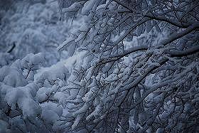 ��ʂ��N���b�N����Ƒ傫�ȉ摜�ŕ\������܂�