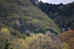 ��ʂ��N���b�N����Ƒ傫�ȉ摜�ŕ\������܂�