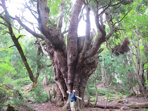 ��ʂ��N���b�N����Ƒ傫�ȉ摜�ŕ\������܂�