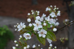 ��ʂ��N���b�N����Ƒ傫�ȉ摜�ŕ\������܂�