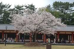 ��ʂ��N���b�N����Ƒ傫�ȉ摜�ŕ\������܂�